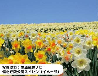 [イメージ写真]　