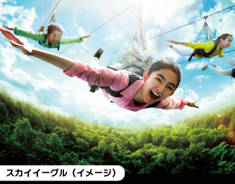 [イメージ写真]　